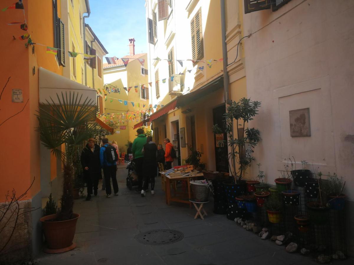 Millenca Apartment Izola Buitenkant foto